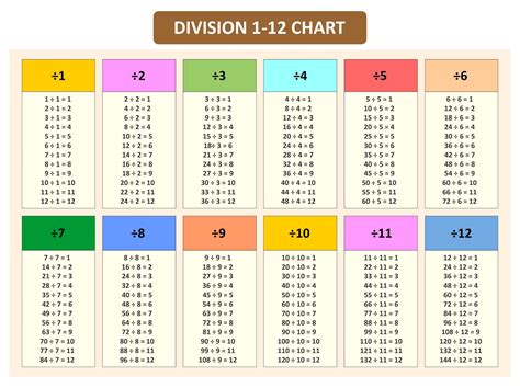 2 divided by 2|2 divided by 4.